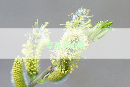 享花卡逾期如何协商及还款？