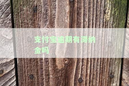 支付宝逾期有罚息吗？计算方法及金额解析
