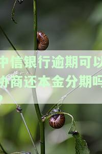 中信银行逾期能否申请一次性还本金？安全吗？
