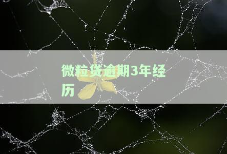 微粒贷逾期几年后，还能重新获得额度吗？