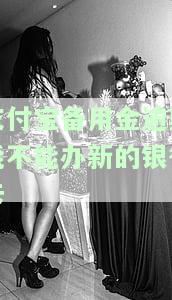 支付宝备用金逾期能否申请信用卡？安全性如何？