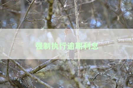 强制执行逾期利息申请执行怎么写，如何申请强制执行逾期利息？操作步骤详解