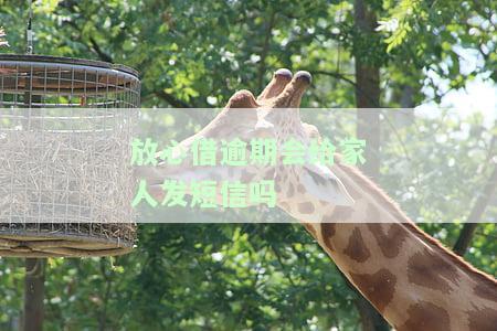 放心借逾期会给家人发短信吗-放心借逾期会给家人发短信吗是真的吗