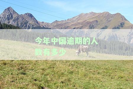 2021中国逾期人数，揭示2021年中国逾期人群的现状与挑战