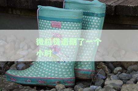 微粒贷逾期了一个小时-微粒贷逾期了一个小时会怎么样