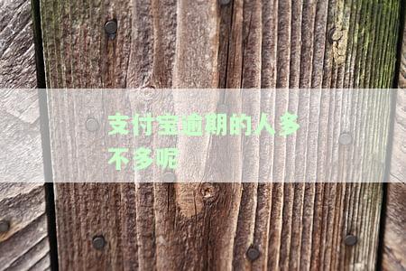 2020年支付宝逾期人数增多：特殊时期下的信贷风险与应对策略