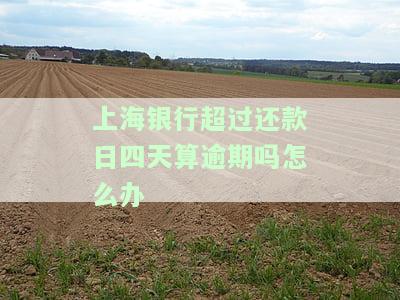 忘记还款？上海银行过了四五天还有影响吗？