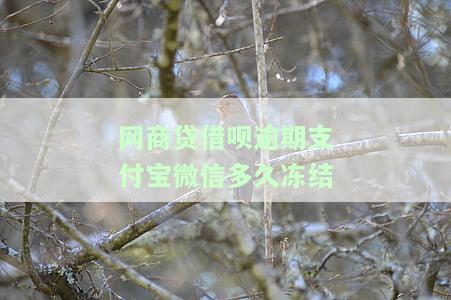 网商贷借呗逾期支付宝微信多久冻结了，网商贷和借呗逾期后，支付宝与微信多久会被冻结？