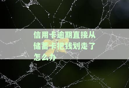 信用卡逾期直接从蓄卡划走资金，如何办理还款？
