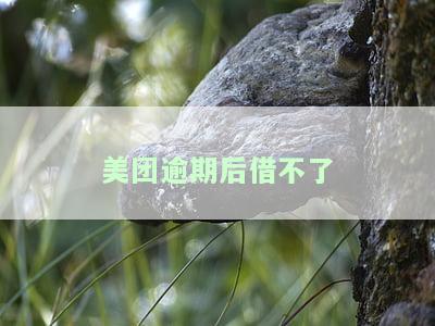 美团逾期后借不了款怎么办？解决方案全解析