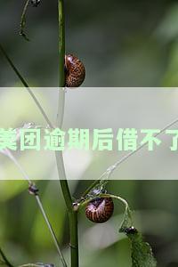 美团逾期借不了还能在哪个平台借款，美团逾期后，还有哪些平台可以申请借款？