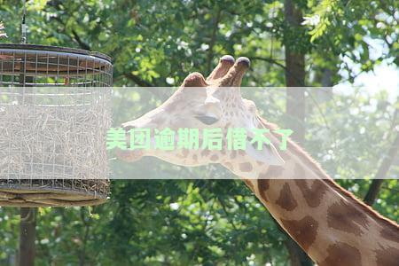 美团逾期无法借款？尝试提前还款或能解决问题！