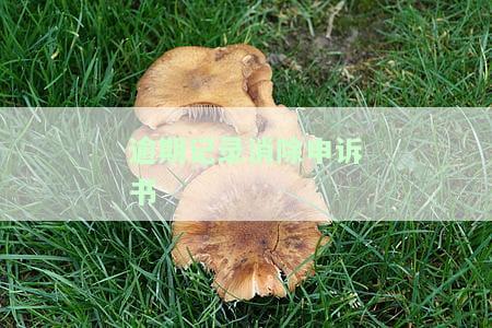 逾期记录消除申请：详细说明消除原因及所需文档