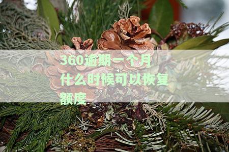 360逾期一个月什么时候可以恢复额度-360逾期一个月什么时候可以恢复额度啊