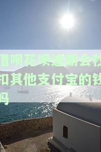 借呗花呗逾期会秒扣其他支付宝的钱吗安全吗，关于借呗、花呗逾期是否会被秒扣其他支付宝账户的资金，安全性如何？