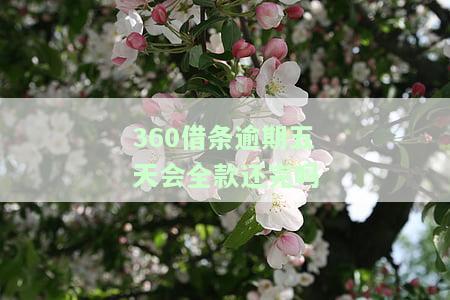 逾期五天会全款还完吗知乎，【求助】逾期5天后，是否需要一次性还清全部欠款？——知乎上的讨论