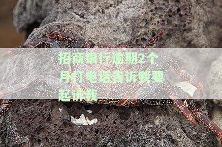 招商银行逾期2个月打电话告诉我要起诉我-招商逾期两个月半月打电话说起诉我