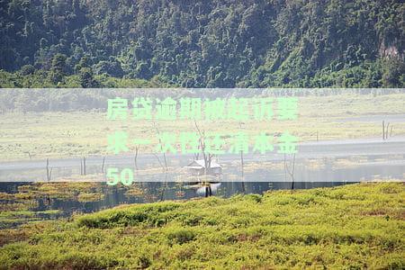 房贷逾期要求一次性还清本金，是否合法？该如何应对？