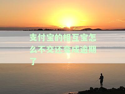 支付宝相互宝未按时缴纳导致逾期，如何处理?