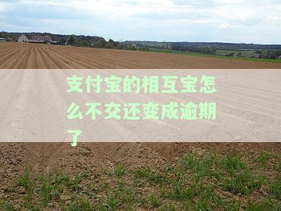 相互宝逾期未支付会否影响征信？