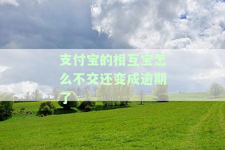 支付宝的相互宝怎么不交还变成逾期了-支付宝的相互宝怎么不交还变成逾期了呢