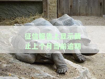 征信报告上显示的截止日期含义解析
