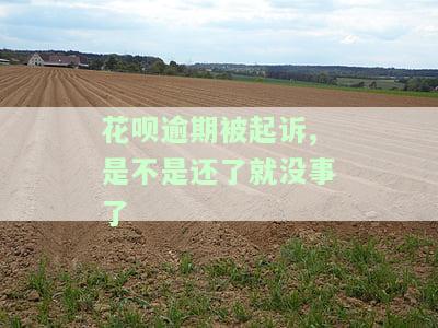 花呗逾期被起诉，还款后是否可以解除诉讼？