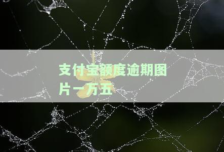 支付宝额度逾期图片一万五-支付宝额度逾期图片一万五什么意思