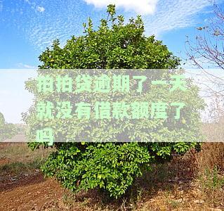 拍拍贷逾期一天会导致借款额度消失吗？该怎么办？