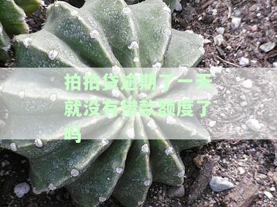 拍拍贷逾期一天后多久可以再次借款？