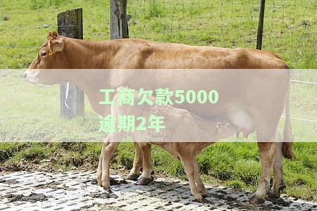 工商逾期5000会不会起诉，逾期5000元是否会被工商起诉？