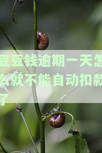 豆豆钱逾期3天还款后仍无法加贷？怎么回事？如何解决无钱还款问题？