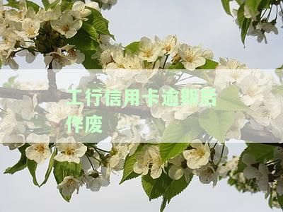 工行信用卡逾期后作废如何恢复？额度、使用全攻略！