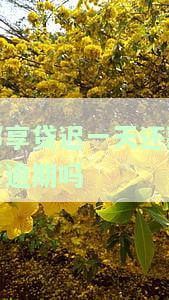 邮享贷一天还款算逾期吗？后果如何？
