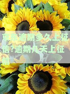 京东逾期多久上征信逾期几天上征信金条，了解京东逾期政策：逾期多久会上征信？金条逾期几天会受影响？