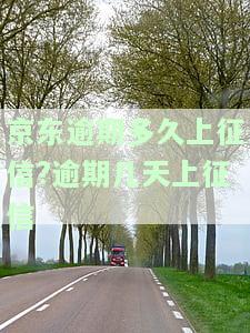 京东逾期多久上征信逾期几天上征信江银行，京东逾期多久会影响信用记录？江银行逾期几天会上报央行征信系统？