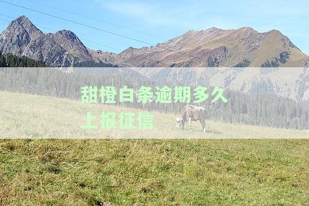 甜橙白条逾期5天结清，恢复额度需时？逾期多久会上报征信、上门催收？