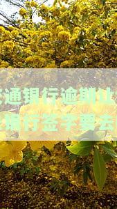 交通银行逾期怎么说，如何应对交通银行的逾期还款？