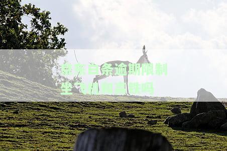 有逾期能不能坐飞机，逾期未还，是否会影响您的飞行计划？