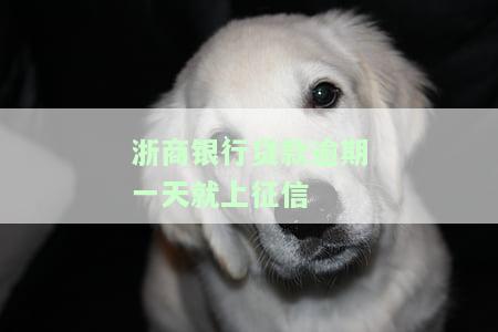 浙商银行逾期以后违约金一点都不能减免吗，浙商银行：逾期后违约金是否能全免？