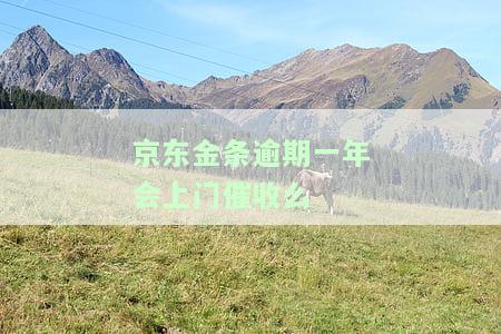 京东金条逾期一年会上门催收么