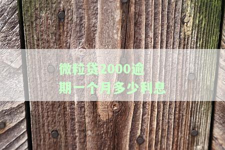 微粒贷2000逾期一个月利息多少？后果严重吗？