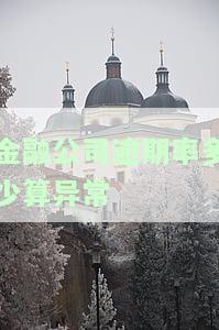 金融公司贷款逾期解决方案：如何处理？逾期办理步骤与建议
