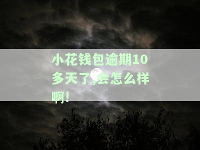 小花钱包逾期10多天了,会怎么样啊!