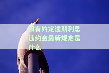 没有约定逾期利息只约定了违约金，约定期限未至，仅约定违约金？你需要了解的内容