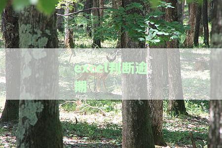 Excel如何判断成绩是否合格？
