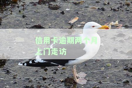 2021年信用卡逾期上门，警惕！2021年信用卡逾期可能面临上门催收