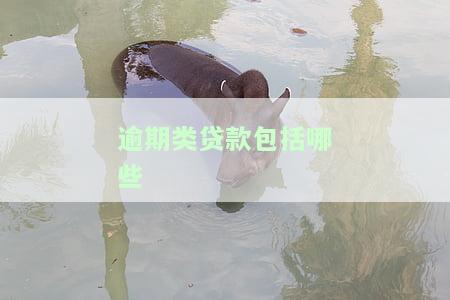 逾期类贷款包括哪些，详解逾期类贷款的种类及其特征