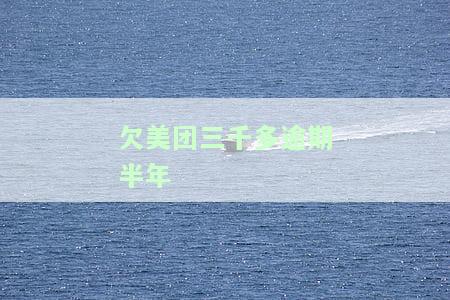 欠美团三千多逾期半年会有什么后果？该如何处理？