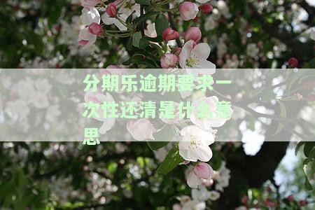 分期乐逾期要求一次性还清还不了的严重后果是什么？